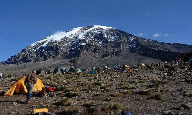 Kilimanjaro success rate